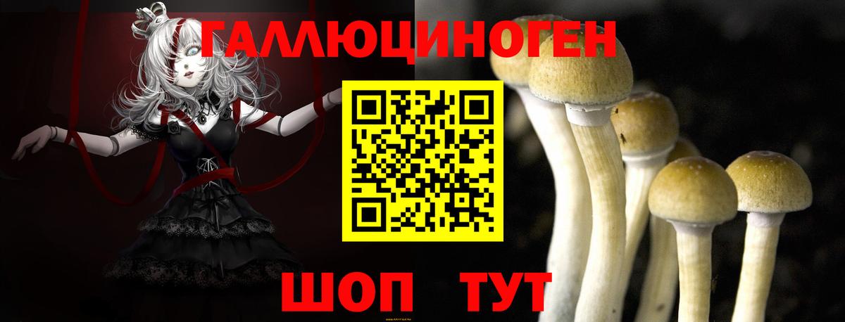 Анапа  Галлюциногенные грибы GOLDEN TEACHER  Вход с VPN 